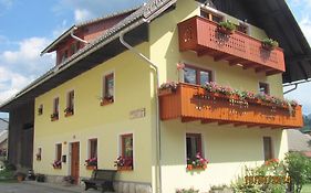 Apartments and Rooms Hodnik Slavko